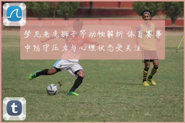 梦见老虎狮子等动物解析 体育赛事中防守压力与心理状态受关注
