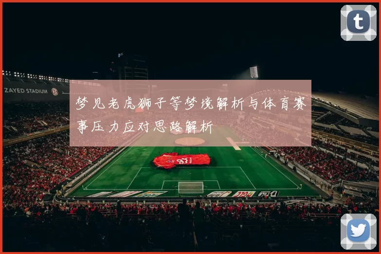 梦见老虎狮子等梦境解析与体育赛事压力应对思路解析