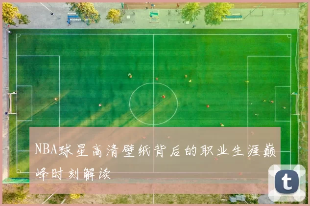 NBA球星高清壁纸背后的职业生涯巅峰时刻解读