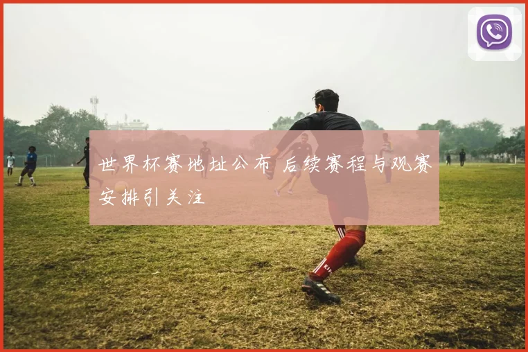 世界杯赛地址公布 后续赛程与观赛安排引关注