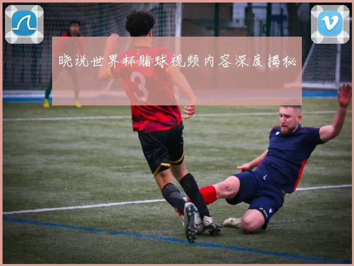 晓说世界杯赌球视频内容深度揭秘